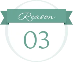 reason03